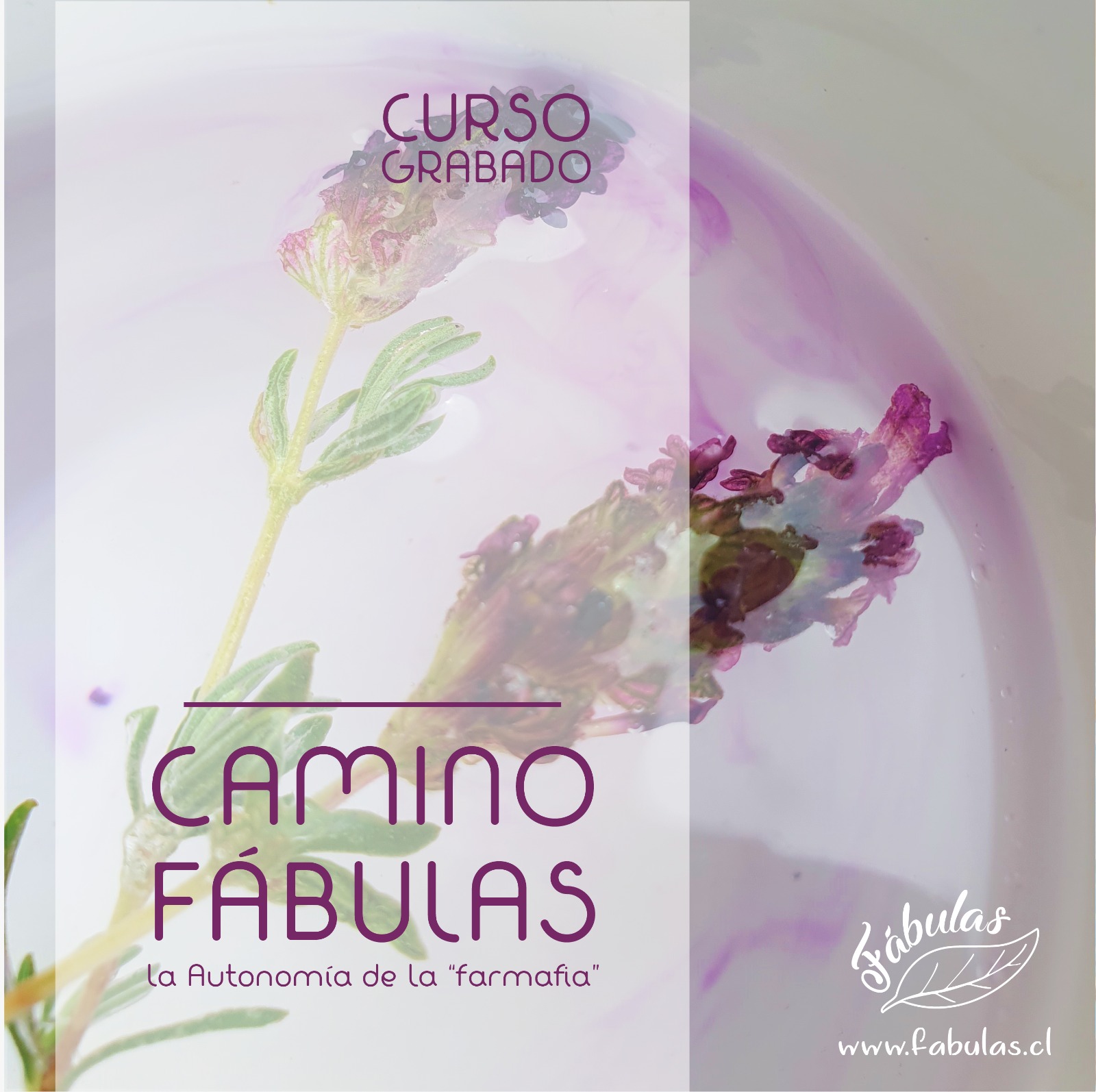 Camino Fábulas