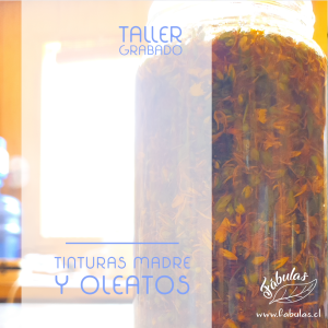Taller de Tinturas Madre y Oleatos