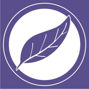 Detox Relaciones Inoficiosas